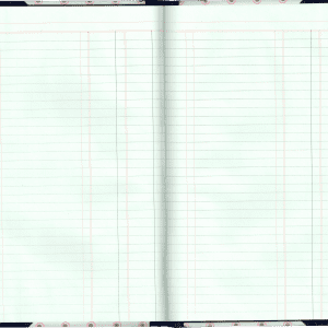 Two Column Cash Book